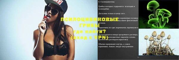 стаф Армянск