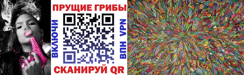 закладка  omg зеркало  Псилоцибиновые грибы мицелий  Армянск 